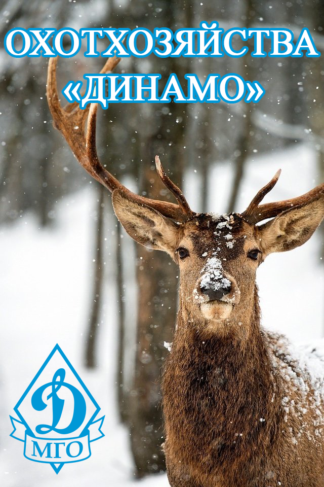 Открыт новый раздел сайта московской городской организации «Динамо» об охоте