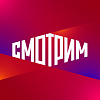 ВГТРК Смотрим  - логотип источника