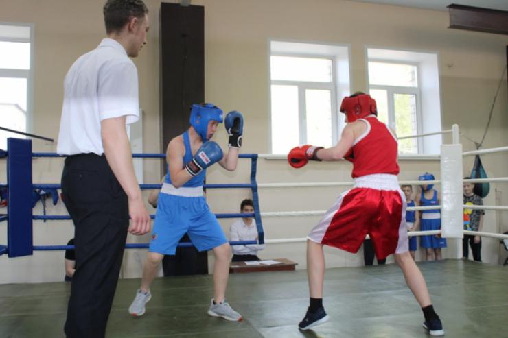 В Биробиджане прошел турнир по боксу «Динамо» ЕАО среди юных спортсменов