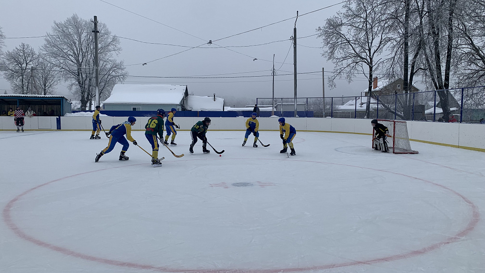 В Ульяновской области прошел Кубок «Динамо» по хоккею с мячом среди воспитанников детских домов
