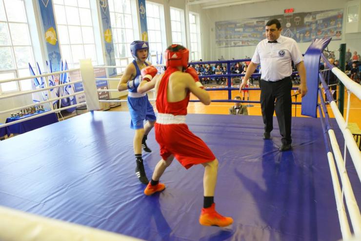В Краснодаре дан старт Всероссийским соревнованиям Общества «Динамо» по боксу