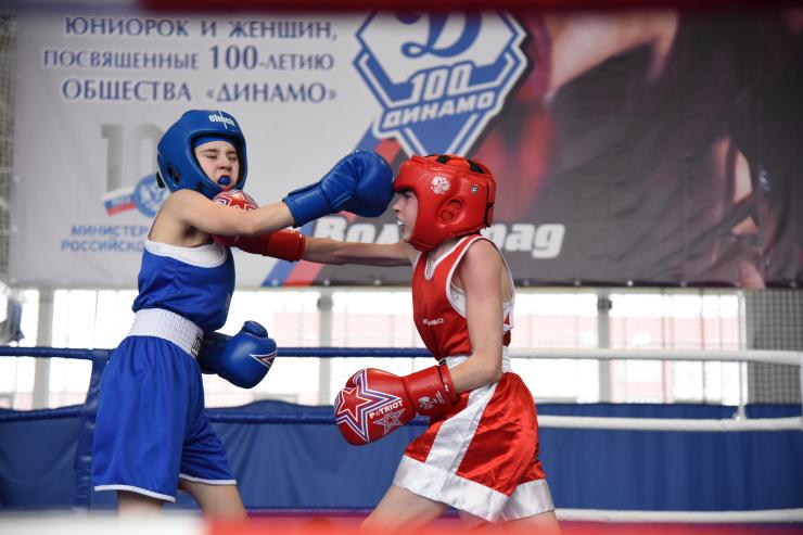 В Волгограде завершились всероссийские соревнования Общества «Динамо» по боксу