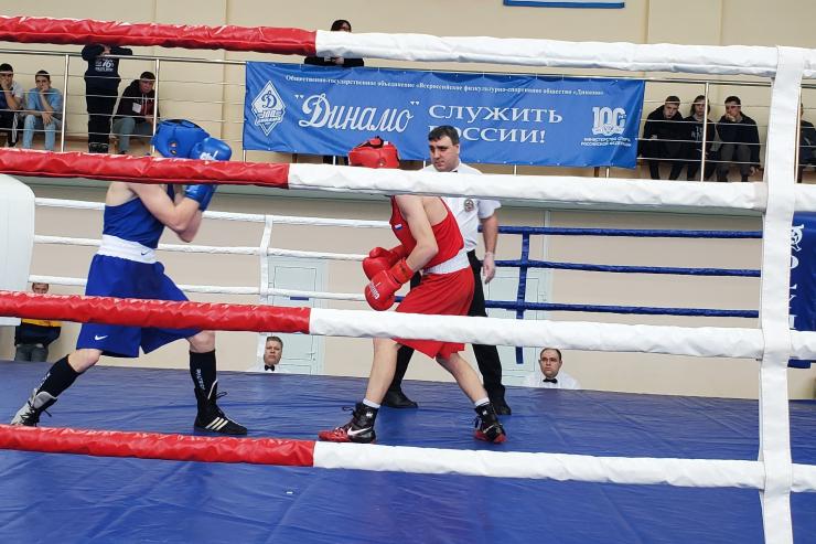В Кургане состоялось открытие всероссийских соревнования по боксу, посвященных 100-летию Общества «Динамо»