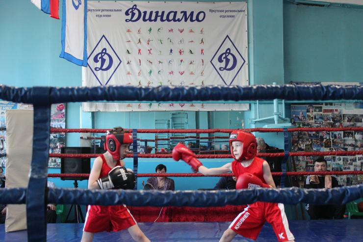 В Иркутске прошел турнир по боксу на призы заслуженного мастера спорта А.А. Пакеева