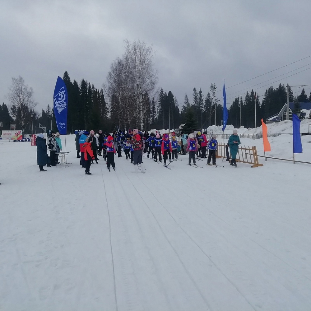 В Удмуртии прошли динамовские соревнования по лыжным гонкам среди обучающихся в Якшур-Бодьинской школе-интернате 