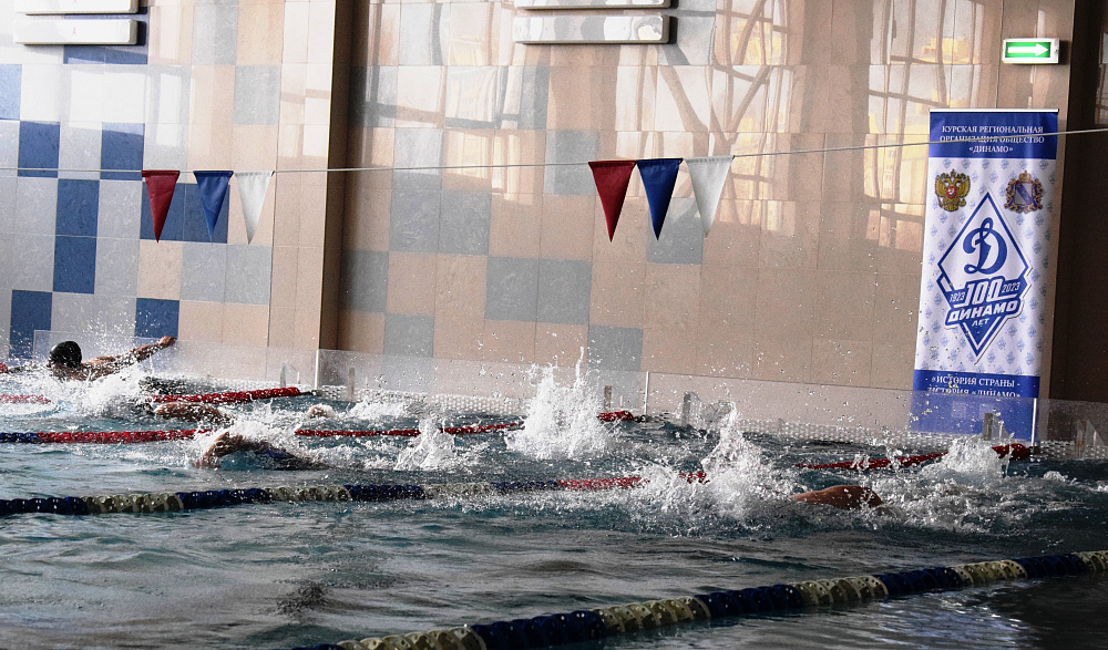 В Курске завершился чемпионат «Динамо» по плаванию  